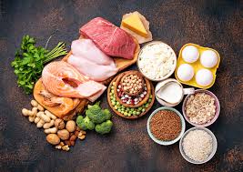 High Protein Food